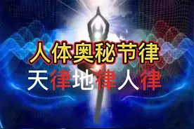 人体奥秘节律探秘，遵循自然规律，才能身体健康延年益寿！视频封面