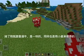 我的世界：生物介绍，过程有点长新手们，学会了吗