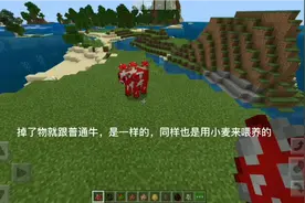 我的世界：生物介绍，过程有点长新手们，学会了吗