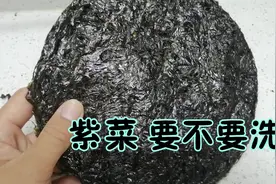 紫菜下锅前，要不要洗一下，很多人都不懂？海边人教你挑选好紫菜视频封面