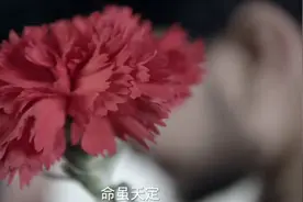这三种女人，命最苦，看看有你吗？视频封面