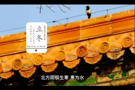 快速学命里~~阴阳五行的生克关系视频封面