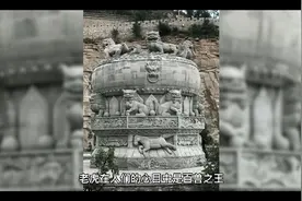 解梦——梦见老虎视频封面