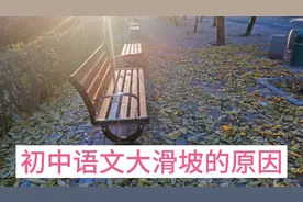 初中语文大滑坡的原因，就是小学阶段多度强化阅读写作的重要性。视频封面