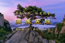 五音疗疾｜平和气血补充能量，缓解疲劳，净心安神，解忧曲（二）视频封面