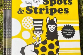 Spots & Stripes 斑点和条纹 讲解版 少儿英语启蒙绘本阅读讲解