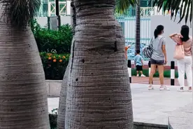 Samsung Galaxy Note 10+手持拍攝，手机剪映简单剪辑视频封面