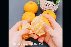 橘子皮变废为宝的用法，可以养花驱虫可以制作清洁剂快来试试吧