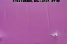 渴望得到一份爱情视频封面