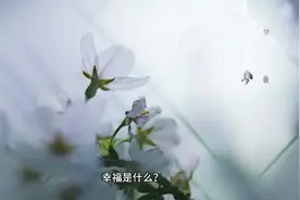 一生只爱一人幸福才能长长久久视频封面