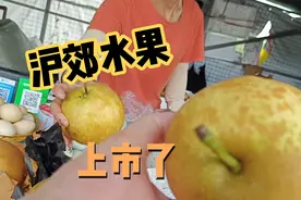 上海郊农自种的各类水果农产品上市季，先问价格再逛果园。视频封面