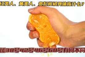 什么是红美人、黄美人和贵妃柑橘？视频封面