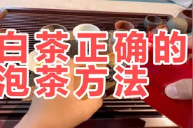 白茶正确的泡茶方法视频封面