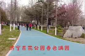 济宁百花公园春色满园视频封面