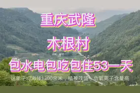 蓝天白云，四面环山，奇花异果，海拔1300，包吃、包住每天53贵吗