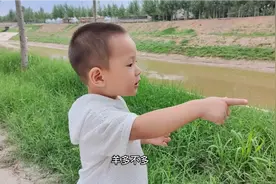 带小朋友赶集、看羊，他俩个是真喜欢看羊，天天看都看不够视频封面