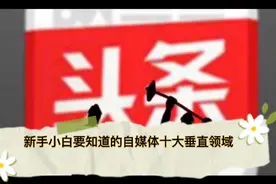 新手小白要知道的自媒体十大垂直领域，看看哪个适合你？视频封面