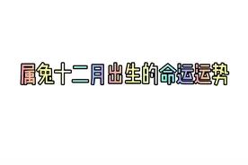 属兔十二月出生的命运运势，仅供娱乐！视频封面