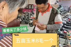 小伙卖玉米，邯郸玉米最高价8毛一斤，五亩能多少钱视频封面