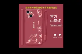 iPHONE苹果12/苹果13手机外壳保护套虎年躺赚暴富手机壳