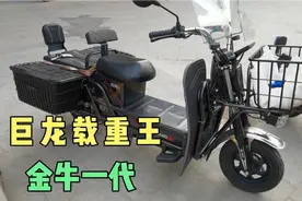 【松涛商城】巨龙载重王金牛一代 拉货神器国标电动摩托车电动车视频封面