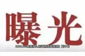 庆阳市人民政府党组成员、副市长吴丽华接受审查调查视频封面
