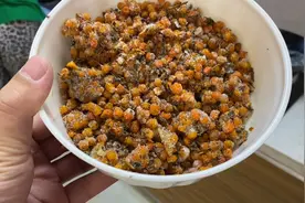 新鲜榨内蒙古特产沙棘汁，每天早晨喝一杯，润肠通便一天轻松