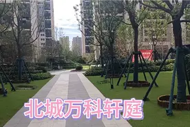 合肥北城万科中央公园，客流量挺大，未来可期，看看这套新交房的视频封面