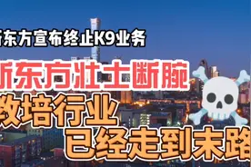 新东方宣布终止K9业务，资本是最聪明的，教培行业已经到头了视频封面