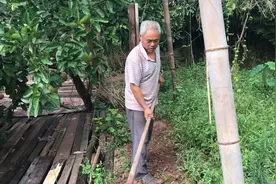 爸爸日常生活视频封面