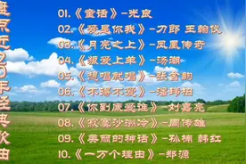 2005年经典歌曲十首《童话》《爱是你我》《你到底爱谁》等