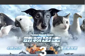 小狗布鲁斯给人类上了一课，谢谢你    #爱护动物  #爱护环境