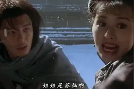 两袖清风，怎敢误佳人视频封面