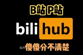[pronhub]教你如何分辨b站和p站