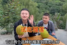 榴莲的品种这么多，到底有什么区别？买两个品种回来试吃一下！视频封面
