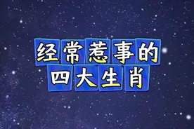 经常惹事的四大生肖视频封面