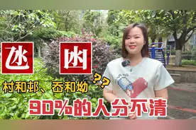 广东粤语教学：澳门氹仔、香港屋邨、闽南厝、浙江岙怎么读