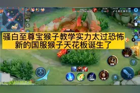 骚白至尊宝猴子教学实力太恐怖，新的国服天花板猴子诞生了视频封面