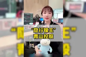 “隐形镍王”--青山控股！视频封面