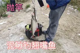 广州市白云区江村旧桥  泥鳅钓翘嘴鱼  收货满满视频封面
