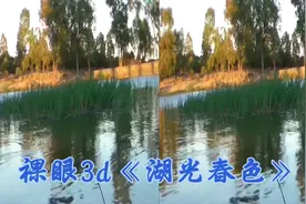 裸眼三维立体视频《湖光春色》视频封面