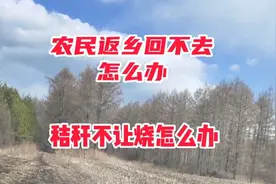 农民返乡，秸秆不让烧，怎么办？@央视三农视频封面