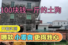 教你们如何抓土狗，100块钱一斤的土狗在城市里面都买不到的视频封面