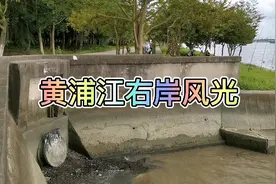 黄浦江右岸风光视频封面
