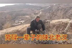 陕北72岁老爷子，一辈子偿尽人生的酸甜苦辣，鼓舞后辈好好生活。视频封面