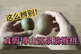 淄博博山源泉猕猴桃市场有假冒的，手把手教您真正鉴别方法！