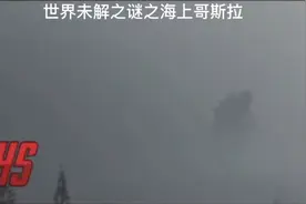 国外网友真实拍到的哥斯拉，我一直以为虚构的，结果真的有视频封面