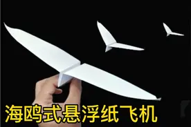 一架海鸥式“悬浮纸飞机”，滑翔稳定持续时间长，折法很简单。视频封面