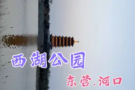 胜利油田东营河口市有个小西湖之称的公园！视频封面