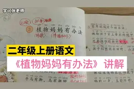 二年级上册语文，《植物妈妈有办法》讲解，预习很有用